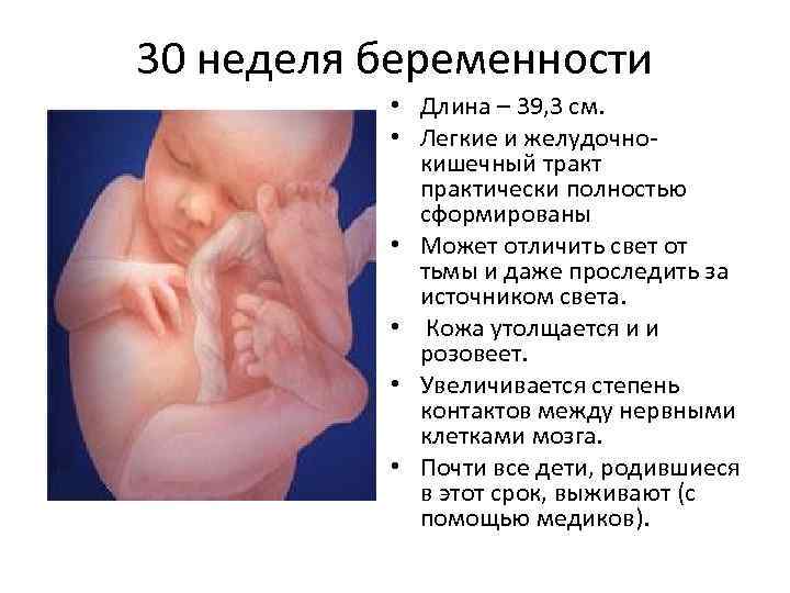 36 неделя беременности развитие и фото — евромедклиник
