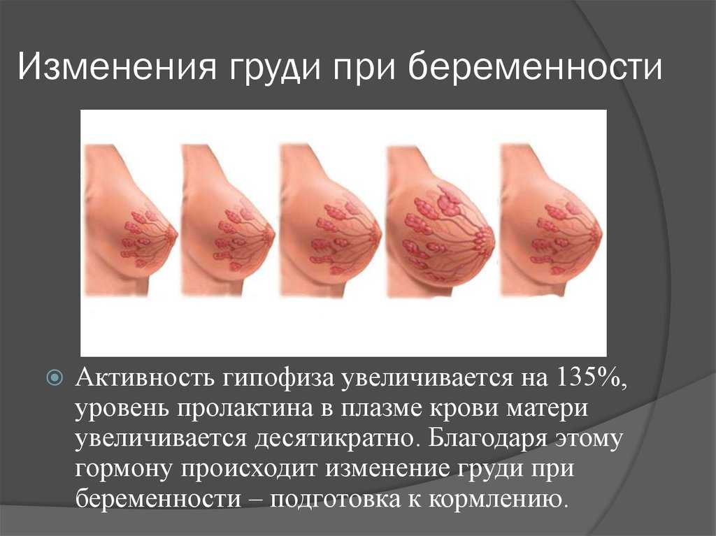 Признаки второй беременности | pampers ru