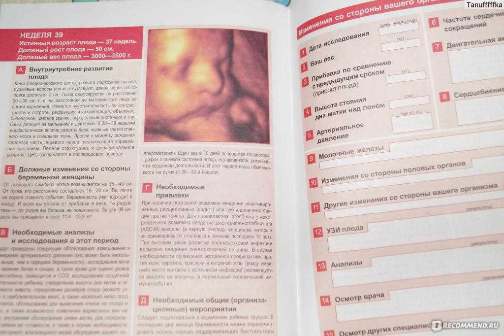 10 книг для идеальной беременности