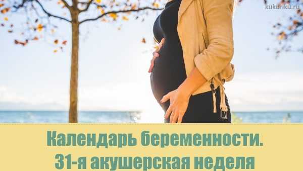 31 неделя беременности развитие и фото — евромедклиник