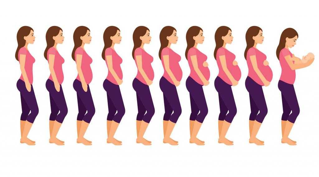 Первый месяц беременности: особенности