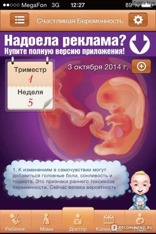 11 неделя беременности: развитие плода | pampers ru