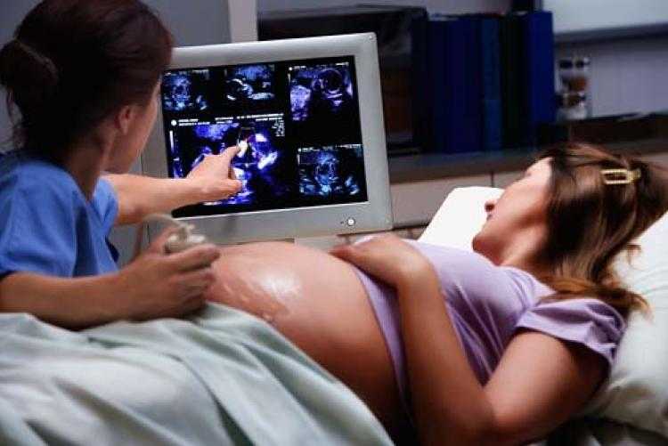 Как часто можно делать узи при беременности и для чего проводится данная диагностика?