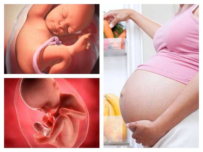 35 неделя беременности: что происходит в 9 месяц от зачатия?