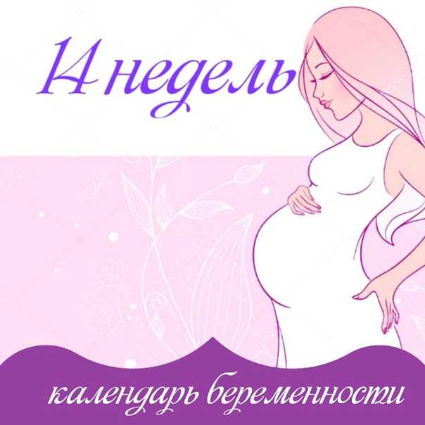 31 неделя беременности. календарь беременности   | материнство - беременность, роды, питание, воспитание