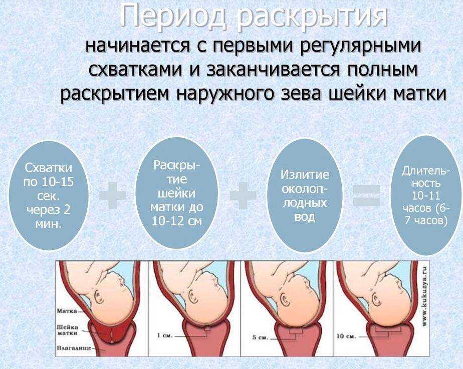 Недоношенная беременность, сколько длится беременность, сроки беременности, недоношенная беременность это, недоношенная беременность срок, предвестники родов, сроки доношенной беременности, недоношенный ребенок