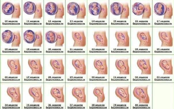 Зуд и жжение при беременности: уход за интимной зоной во время беременности