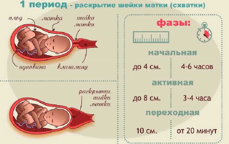 Первый период родов - раскрытие » медицинская академия "генезис" клиника на ленинском 131