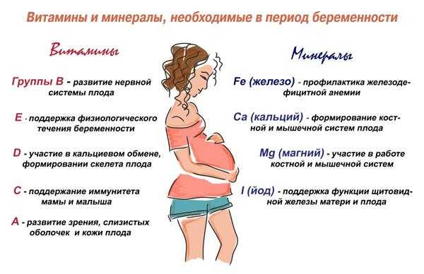 7 правил гигиены, образа жизни и питания беременной женщины | аборт в спб
7 правил гигиены, образа жизни и питания беременной женщины | аборт в спб