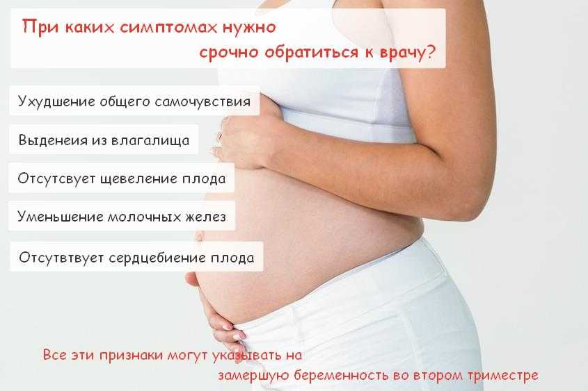 Первые признаки беременности на ранних сроках – как определить произошло ли зачатие?