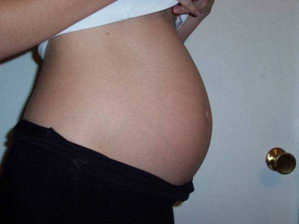 26 недель живот внизу. Живот на 26 неделе беременности. Животик беременных на 26 недели. Живот на 17 неделе беременности. Размер животика на 16 неделе беременности.