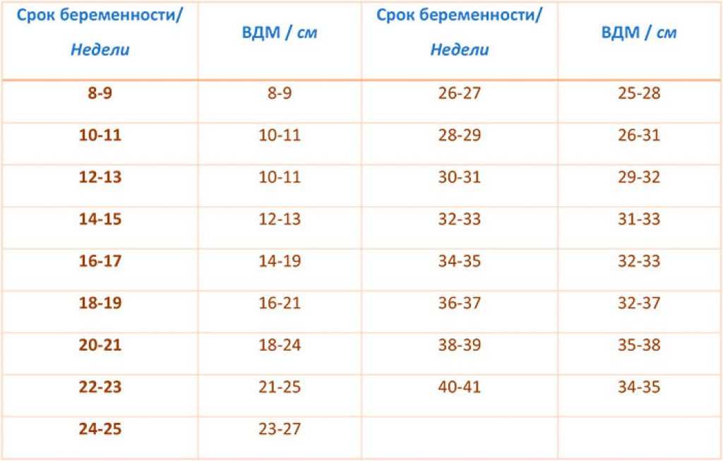 Расположение матки по неделям беременности в картинках