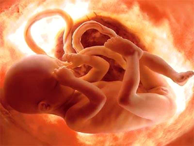 Человек в утробе матери. Малыш в утробе матери. Эмбрион в утробе матери.