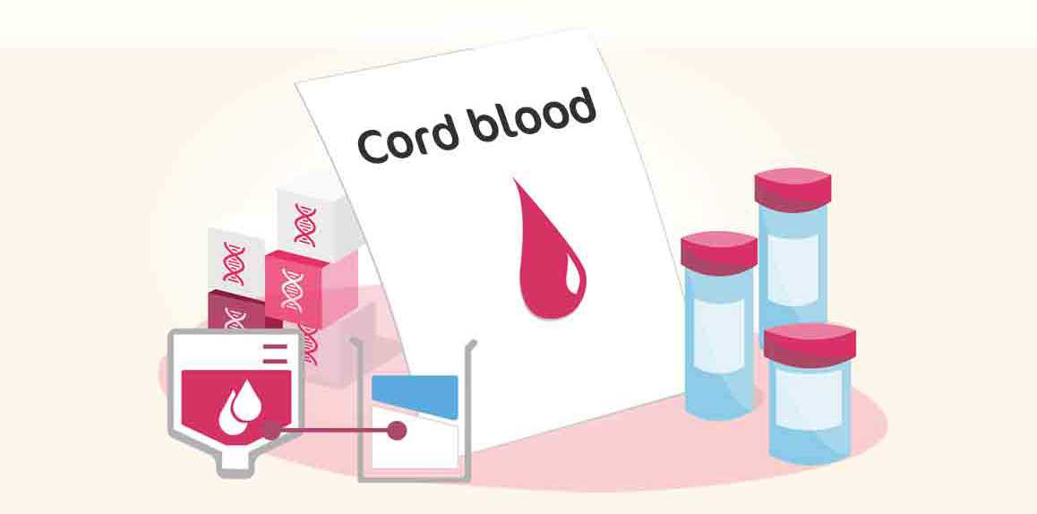 Банк пуповинной крови — криобанк стволовых клеток.