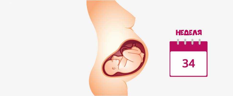 Вес ребенка и нормы на 34 неделе беременности (16 фото): что происходит с малышом, развитие и тазовое предлежание плода, как выглядит рожденный на 34 неделе