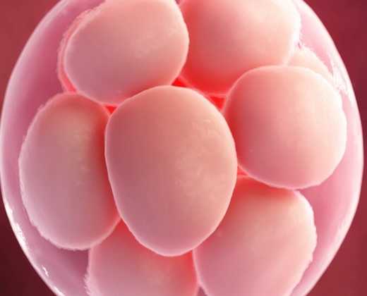 Возможности криобанка. криоконсервация яйцеклеток, эмбрионов и спермы.  - медицинский центр «малыш»