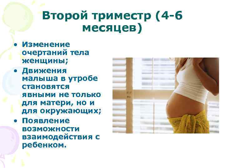 Беременность по триместрам