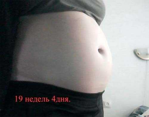 40 неделя беременности вторая. Живот на 19 неделе беременности. Живот на девятнадцатой неделе беременности. Живот на 18-19 неделе. Живот беременной на 19 неделе.