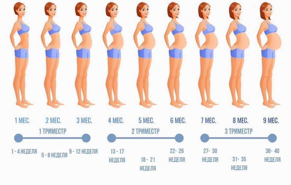Набор веса при беременности: таблица норм по неделям и месяцам | nutrilak