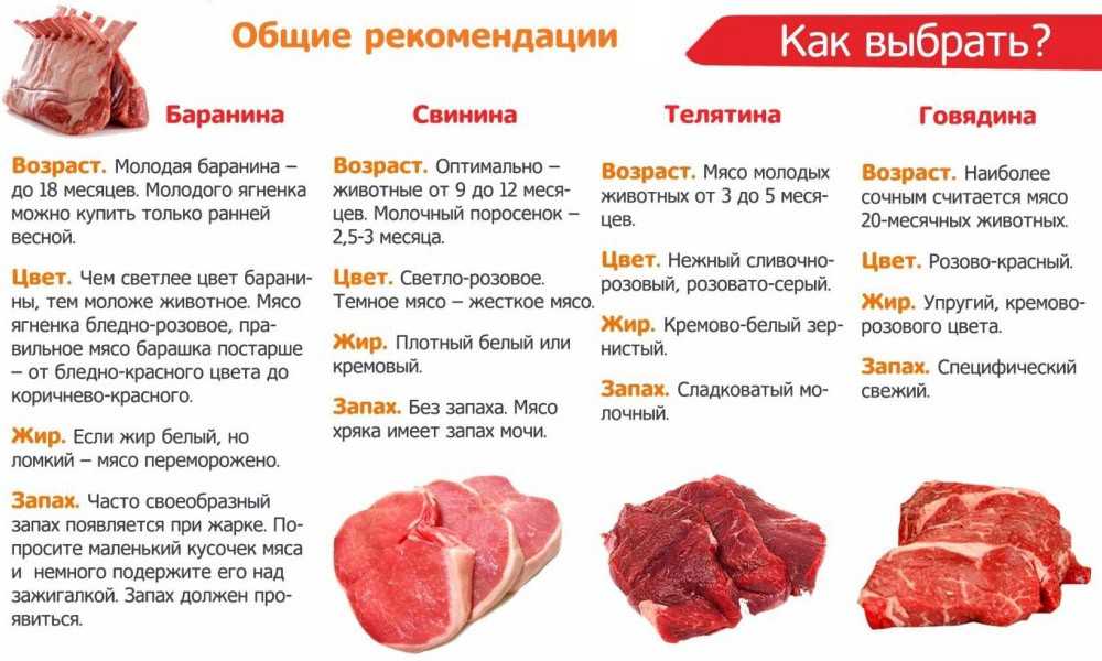 как употреблять мясо во время беременности, как готовить и есть мясо во время беременности, мясо беременность, почему во время беременности хочется мяса, тянет на мясо беременность, мясо при беременности, какое мясо можно есть при беременности, беременная