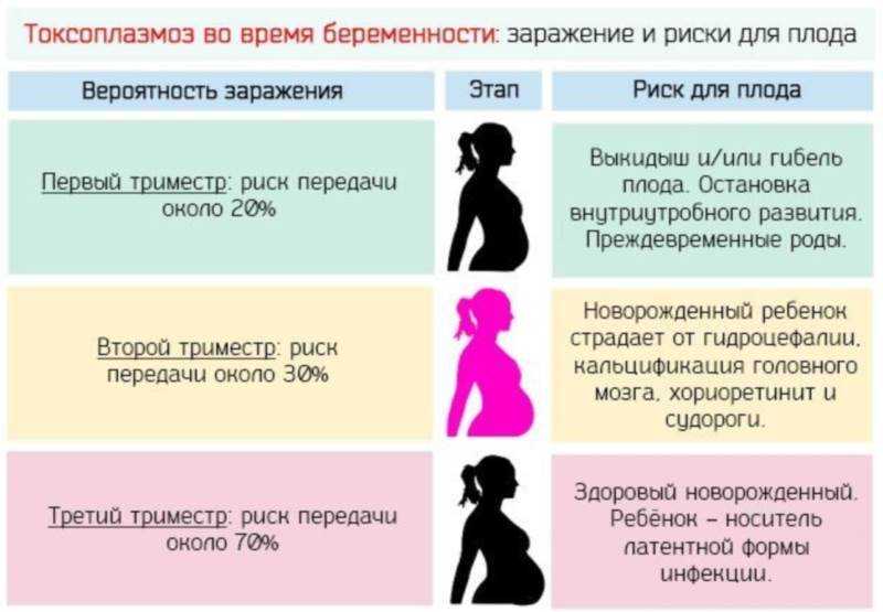 Опасные периоды беременности. самый опасный период во время беременности. лечение в критические сроки беременности