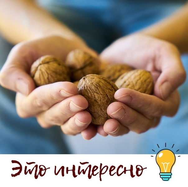 Как родить умного ребенка? - vechnayamolodost.ru