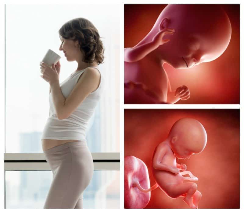 26 неделя беременности фото малыша и твои изменения — евромедклиник