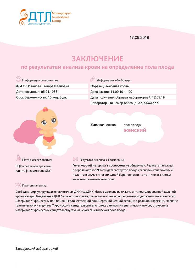 Мальчик или девочка? что такое гендер-пати и зачем белгородцы их устраивают. новости общества