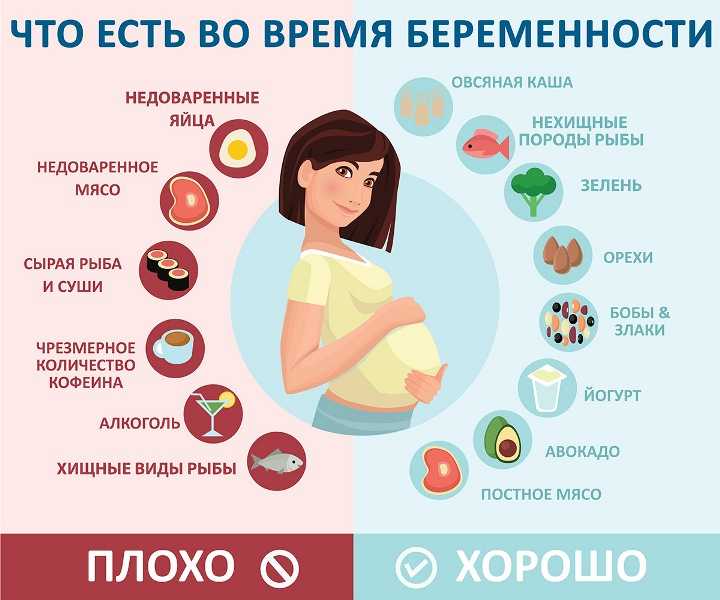 Памятка для беременной. питание беременной женщины. | www.mrd1-74.ru