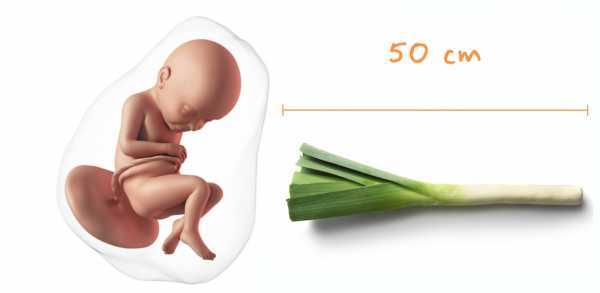 Тридцать шестая неделя беременности | образ жизни для хорошего здоровья
