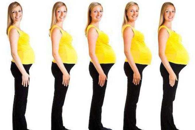 Как меняется организм женщины на 5 месяце беременности