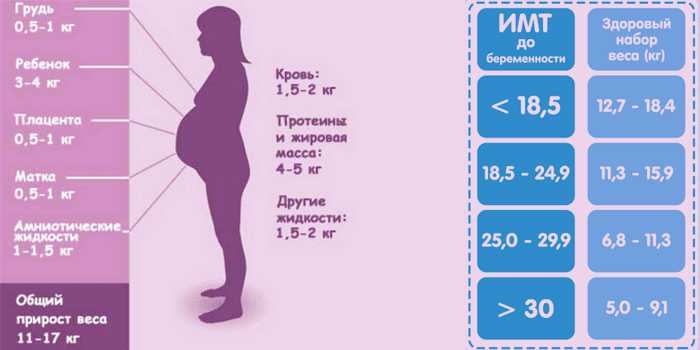 Норма прибавки веса при беременности: таблица нормы прибавки | nutrilak