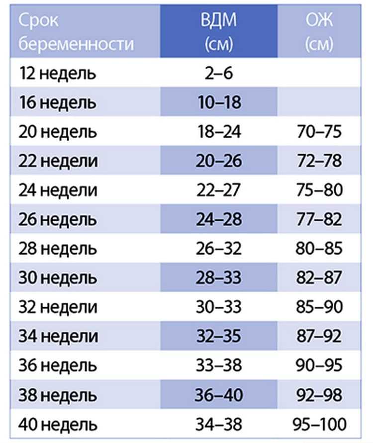 1 3 от 6 месяцев это. Норма объема живота при беременности по неделям. Окружность живота и высота дна матки по неделям. Окружность живота при беременности по неделям норма. Высота живота при беременности по неделям норма таблица.