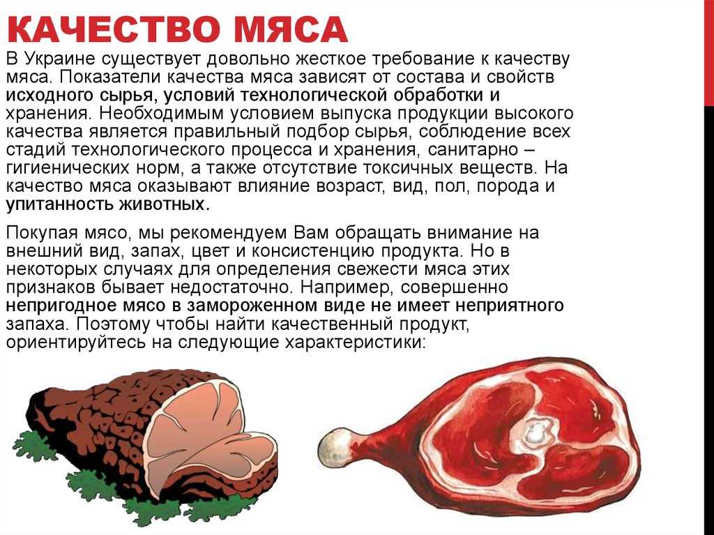 Употребление мяса при беременности. мясо в рационе беременной женщины. почему хочется мяса во время беременности? чего не хватает организму