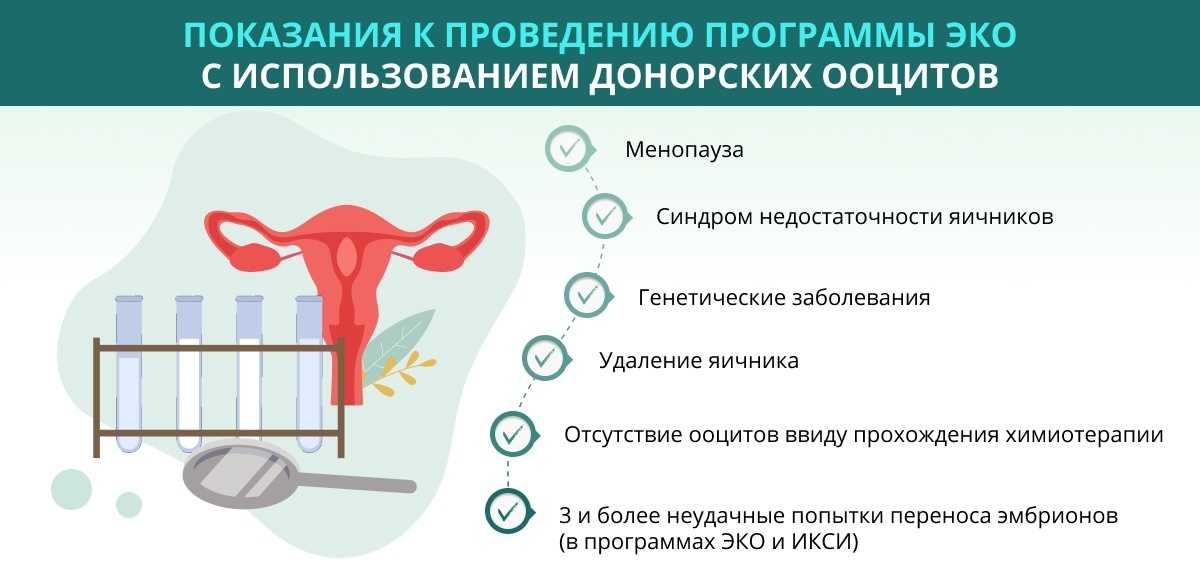 Как происходит криоконсервация ооцитов: все о методе и подготовке - статья репродуктивного центра «за рождение»