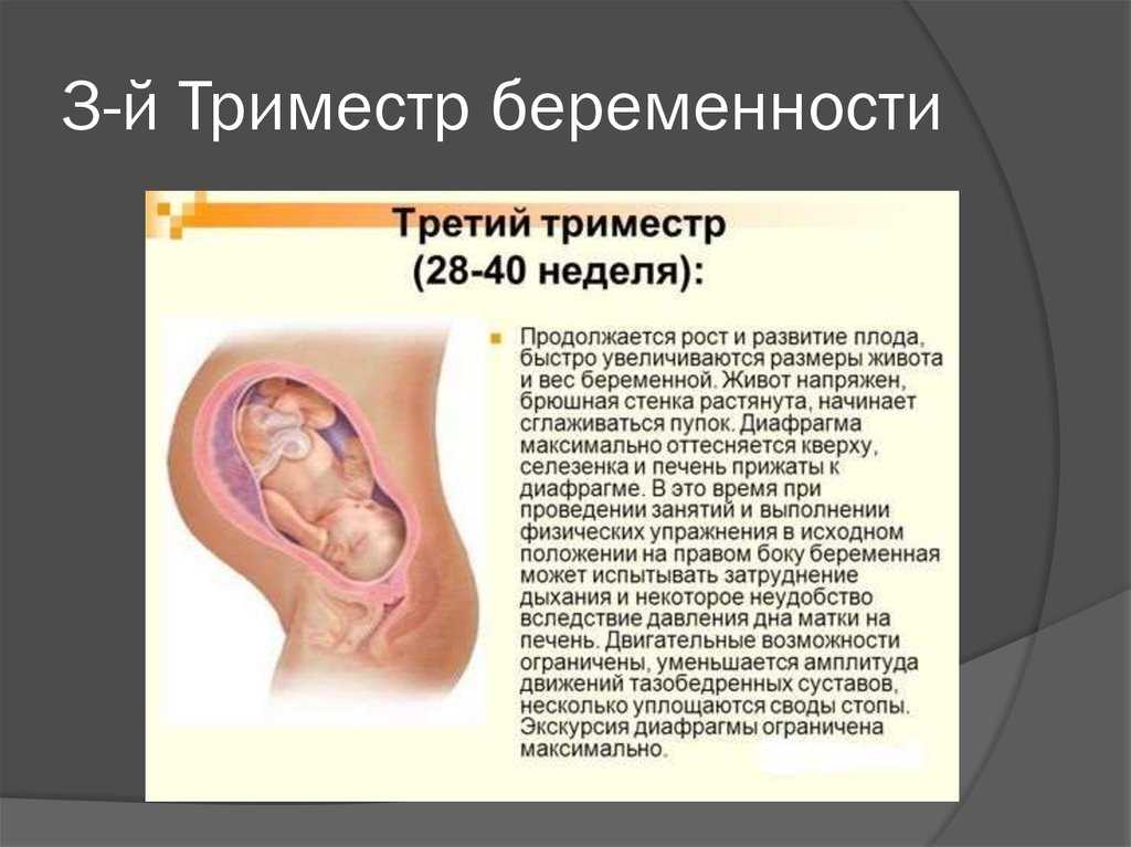 Третий триместр беременности