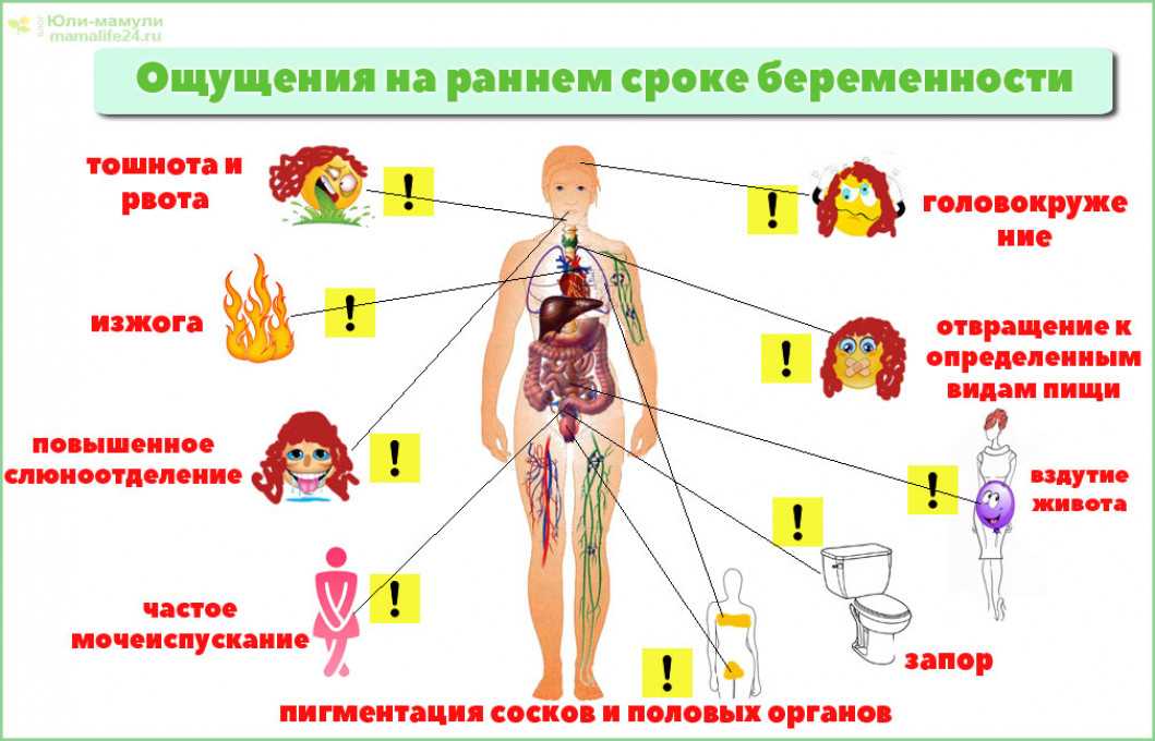 Признаки беременности мочеиспускание. После зачатия частое мочеиспускание. Симптомы беременности на ранних сроках вздутие живота. Первые признаки беременности слюноотделение. Бросает в Жар на первой неделе.