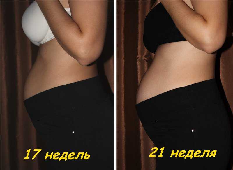 Живот на 17 неделе беременности фото первая беременность