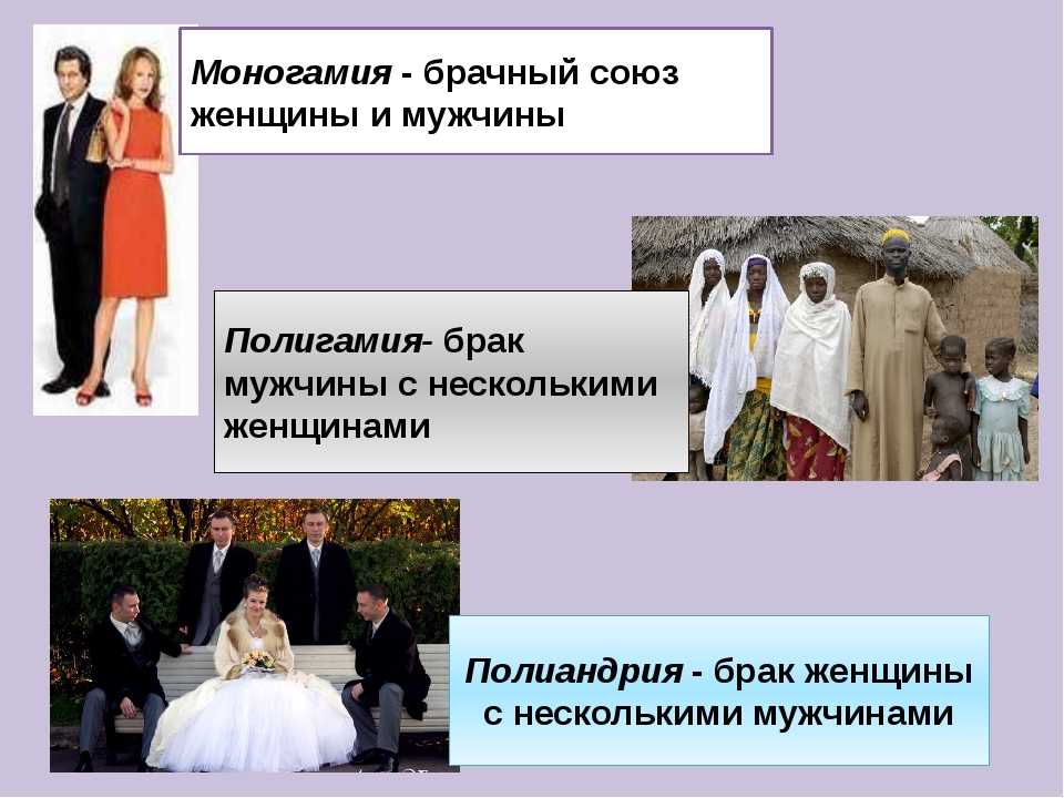 Каково быть второй женой араба для русской девушки: правила, традиции
