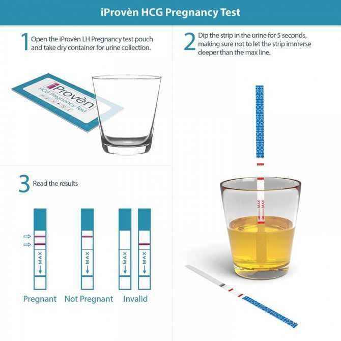 Когда можно проводить тест на беременность:  рассчитайте дату проведения теста