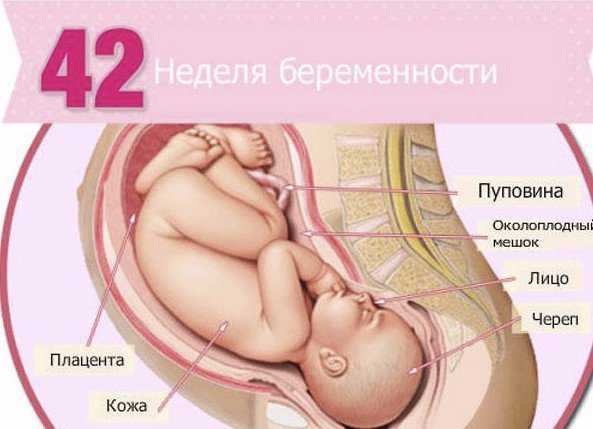Первые месячные (менструации) после родов - рекомендации врача-гинеколога.