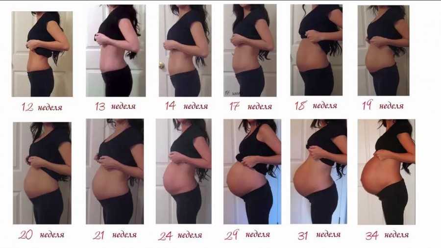 Третий месяц беременности - ощущения, анализы, развитие плода | nutrilak