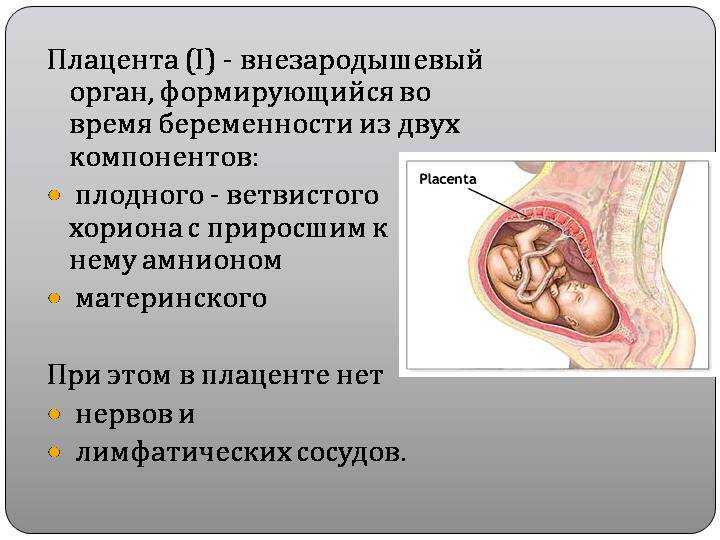 Степень зрелости плаценты 3 в 36 недель беременности