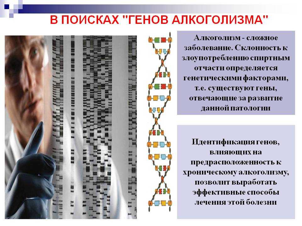 Генетика ребенка - каким будет характер и внешность ребенка в зависимости от генов его родителей
генетика ребенка - каким будет характер и внешность ребенка в зависимости от генов его родителей