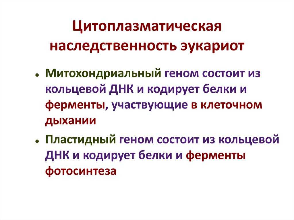 Психогенетика - vechnayamolodost.ru