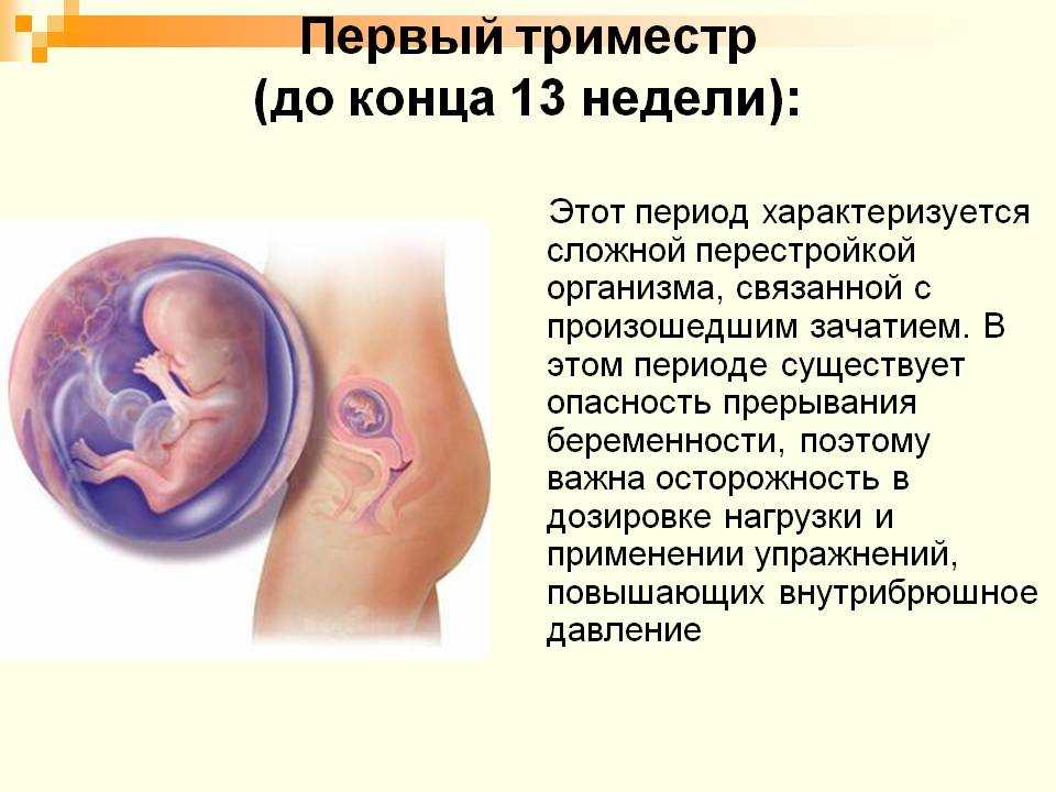 Питание в 3 триместре беременности