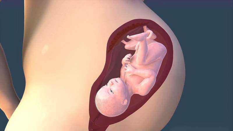 34 неделя беременности — развитие ребёнка