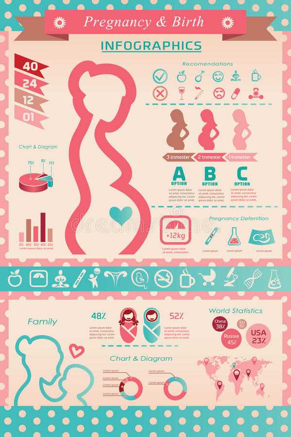 Удивительные факты о беременности