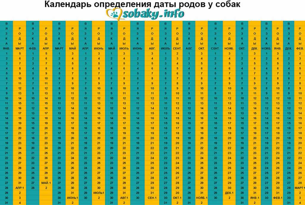Как правильно рассчитать точную дату родов | pampers ru