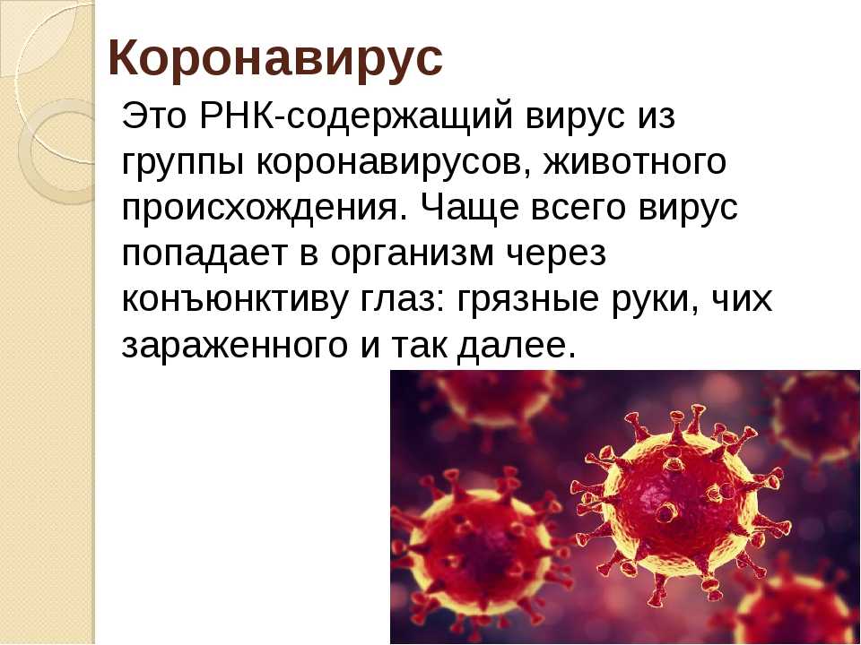 Вирус ковид группа патогенности